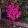 Albero di ciliegio rosa (H:3 W:2M)