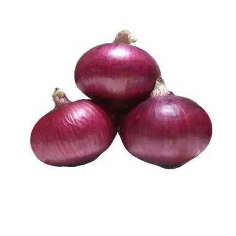 Fresh-Onions (3).jpg