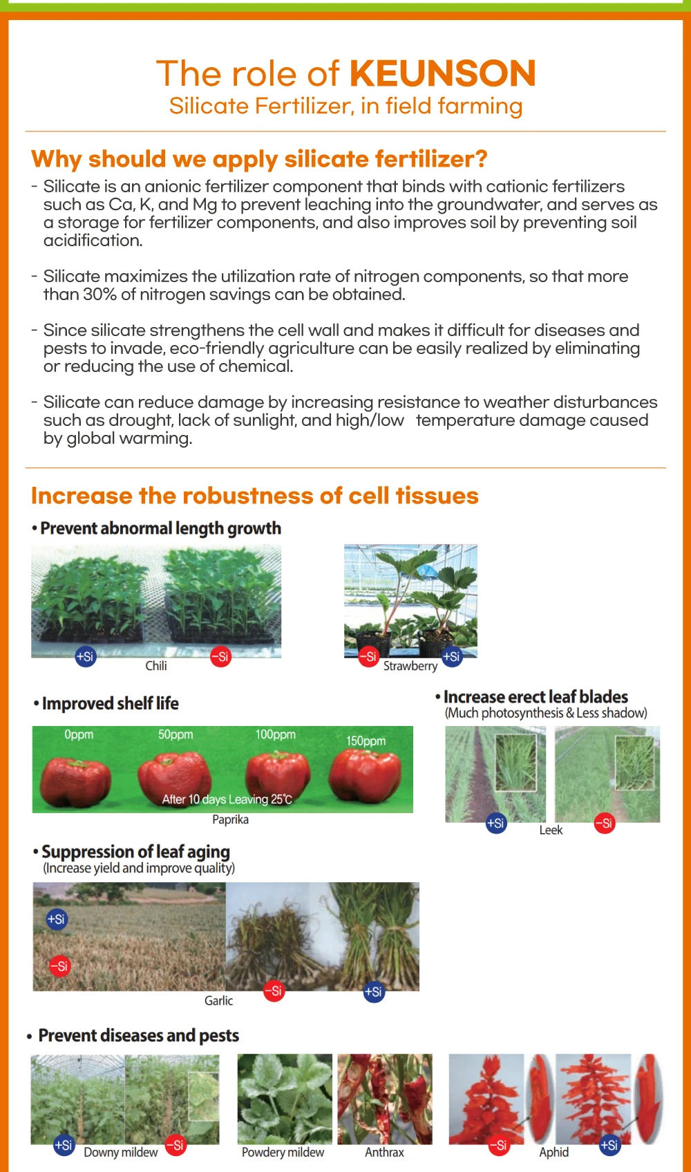 Foliar Fertilizer Liquid Silicate Fertilizer For Preventing Soil