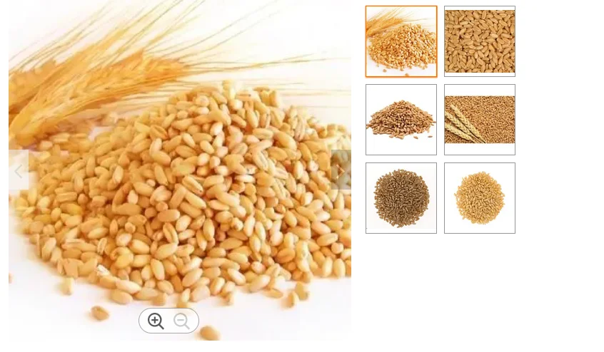 wheat1.PNG