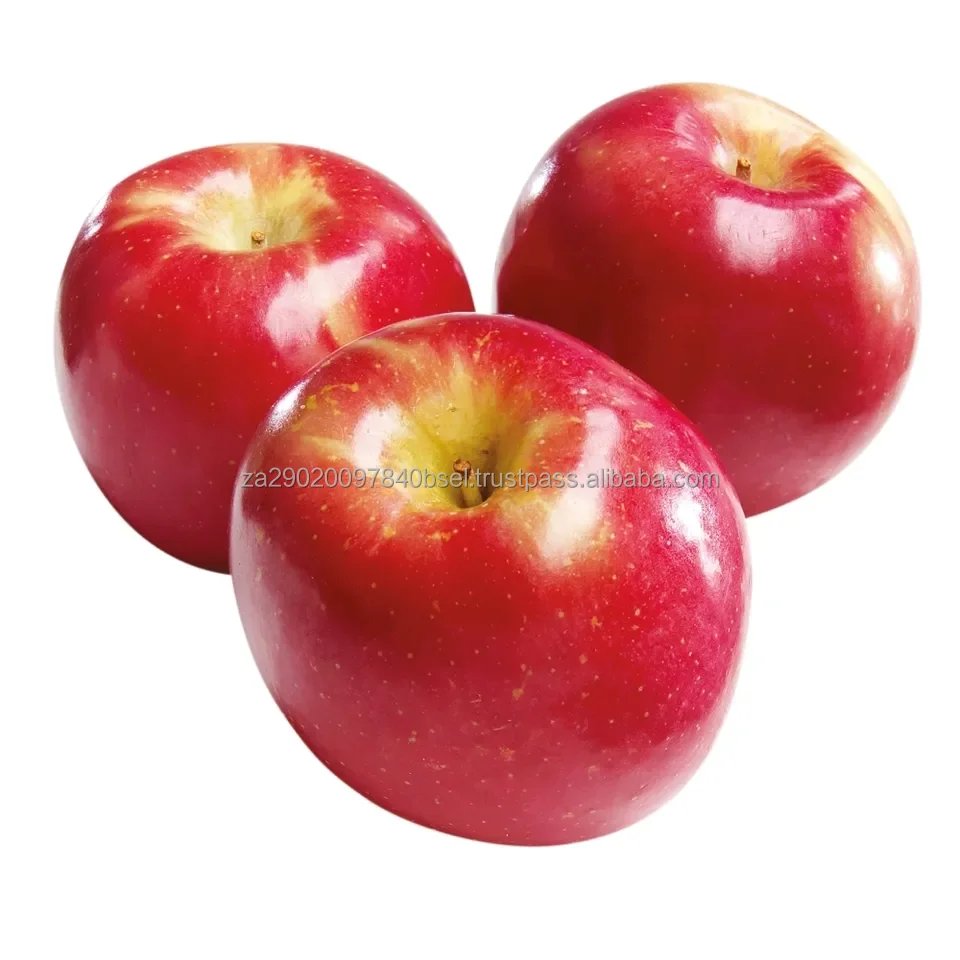 apples (3).jpg