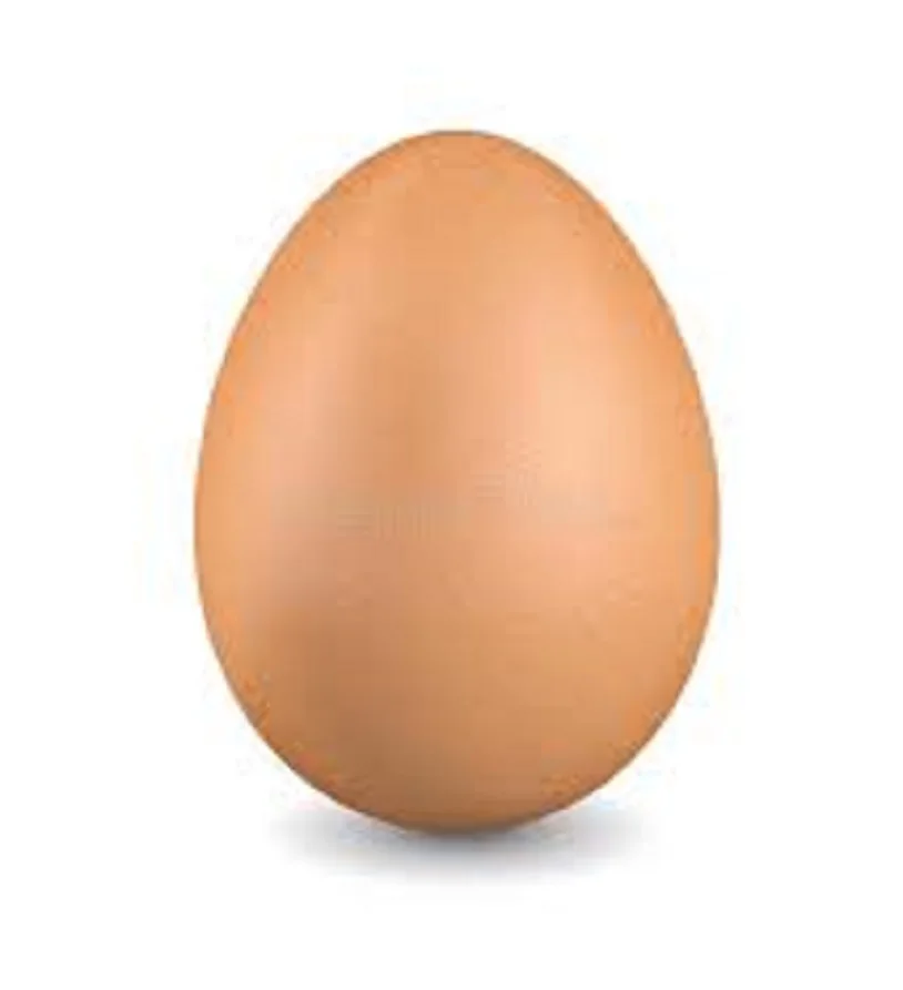 Bulk Sale Fresh Chicken Table Eggs & Fertilized Hatching Eggs Buy