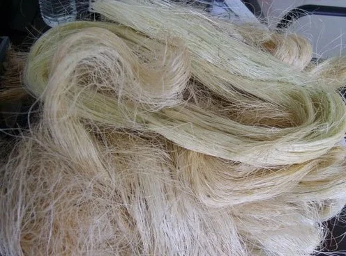 Высокое качество натуральное сизалевое волокно Доступно сейчас для