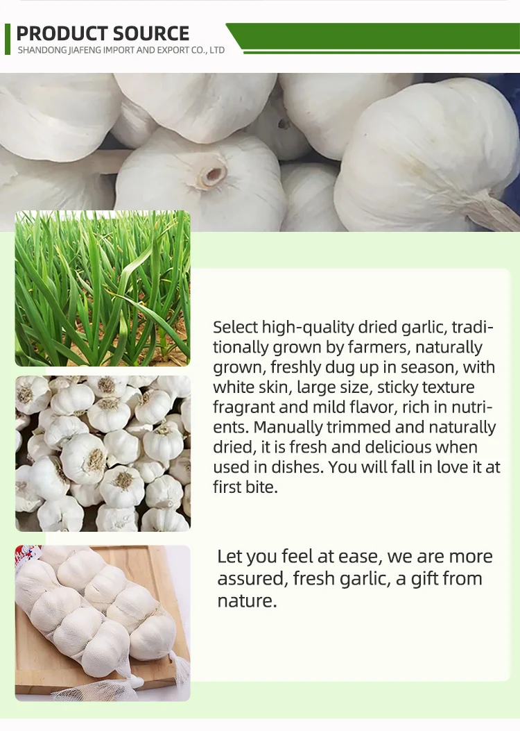 White Garlic