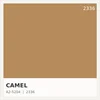 Camel