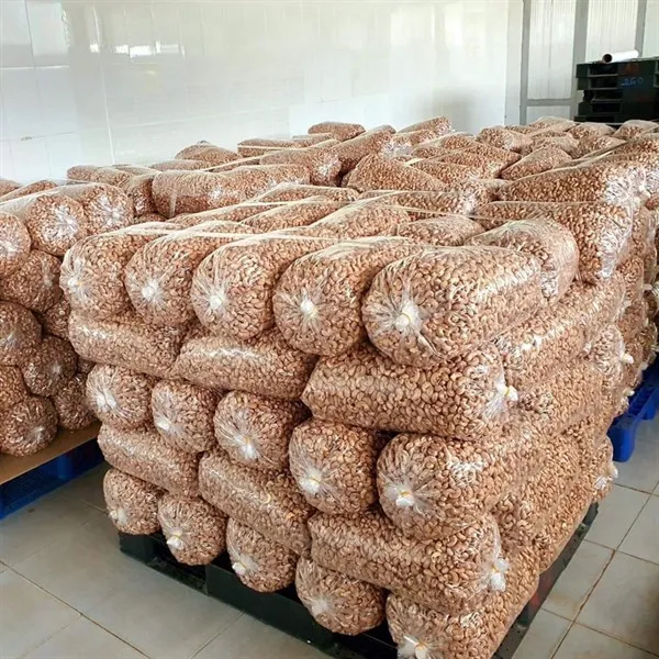 10kgs Bag Of Cashew Nut Ww180,210,240 320,450 / Premium Cashew For Eu ...