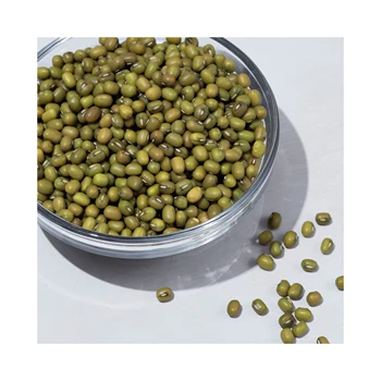 Dried Mung Bean/moong Dal Seed/sprouting Seeds Mung Bean Myanmar Origin ...