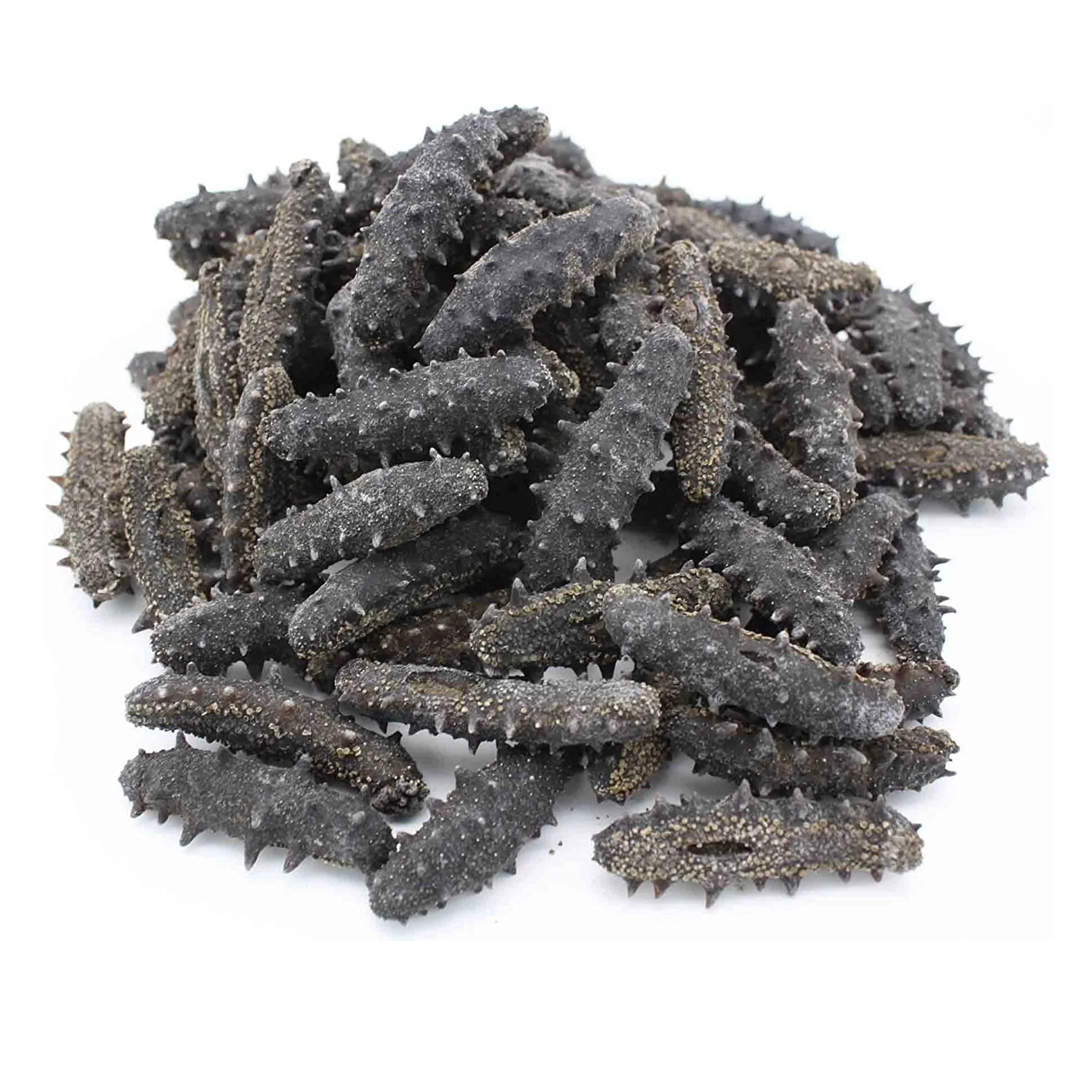 Premium Quality Dried Sea Cucumber Bulk Stock At Wholesale Cheap Price