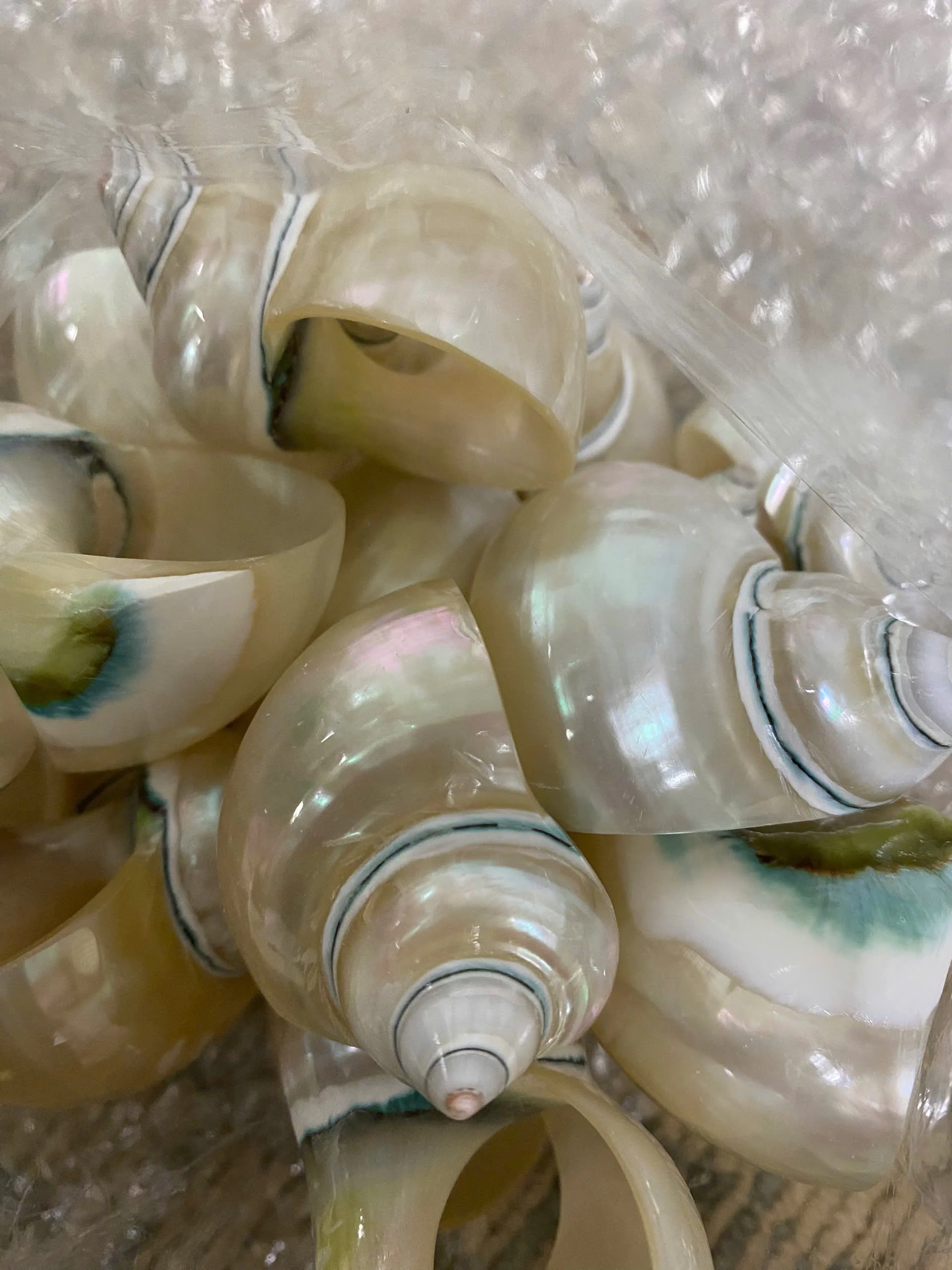 Natural Mother of Pearl Conch Shells for Crafts or Art Decoration Beautiful Designs at Reasonable Prices From Vietnam