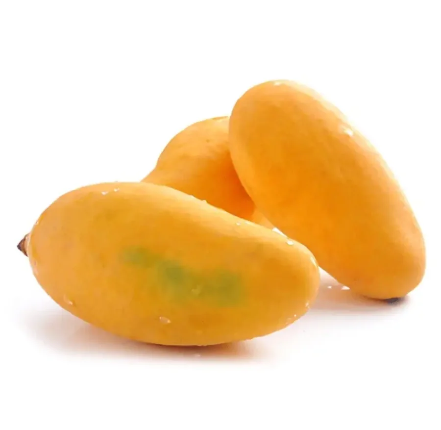 0100 (2).png