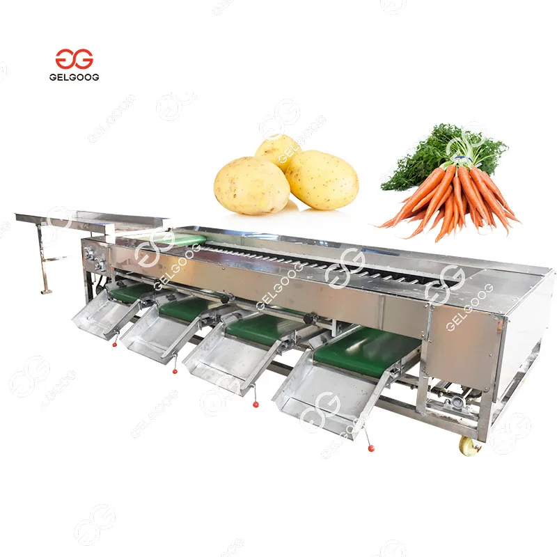 Gelgoog Automatic Chestnut Sweet Potato Sorting Machine Price Electric Potato Calibrator Sorter