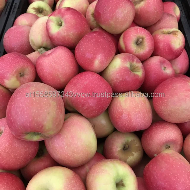 Pink Lady apple 3.jpg
