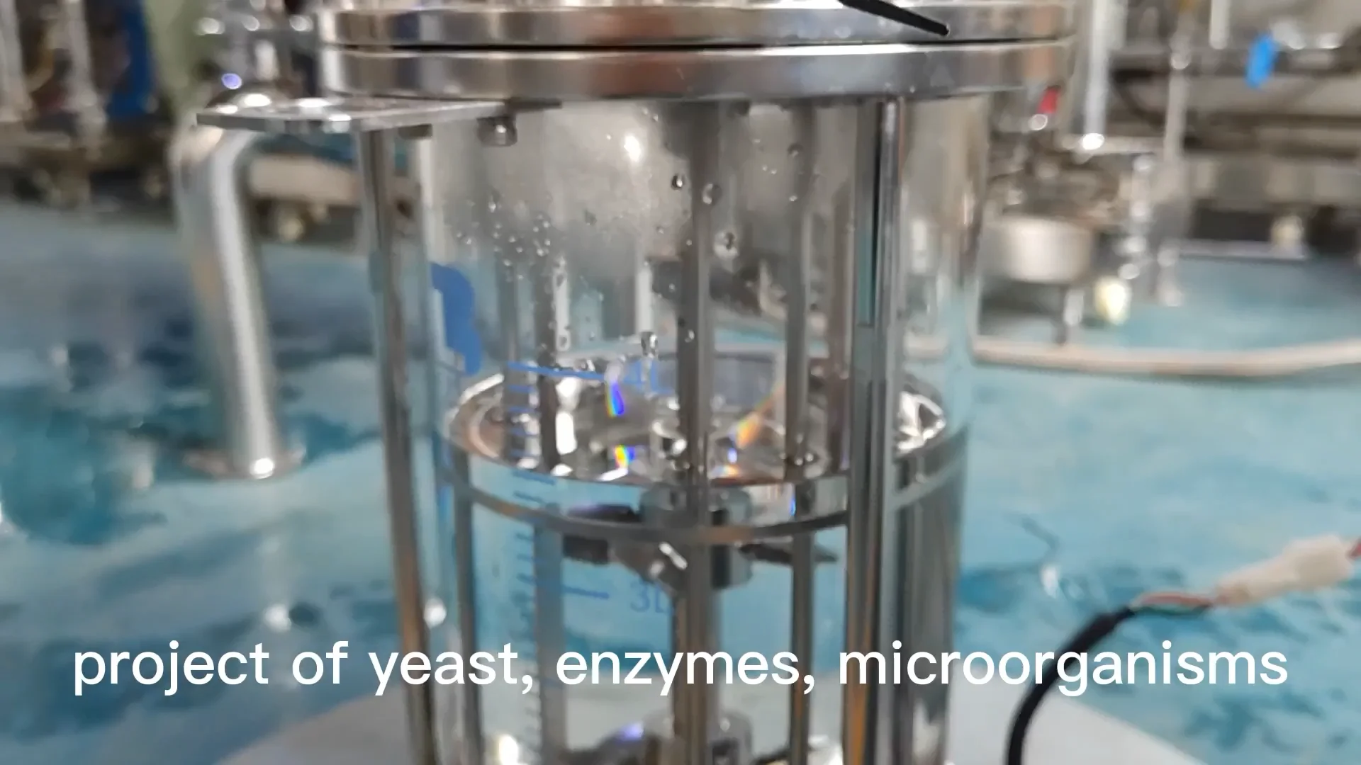 Laboao Stirring Bioreactor For Salmonella And Lactose