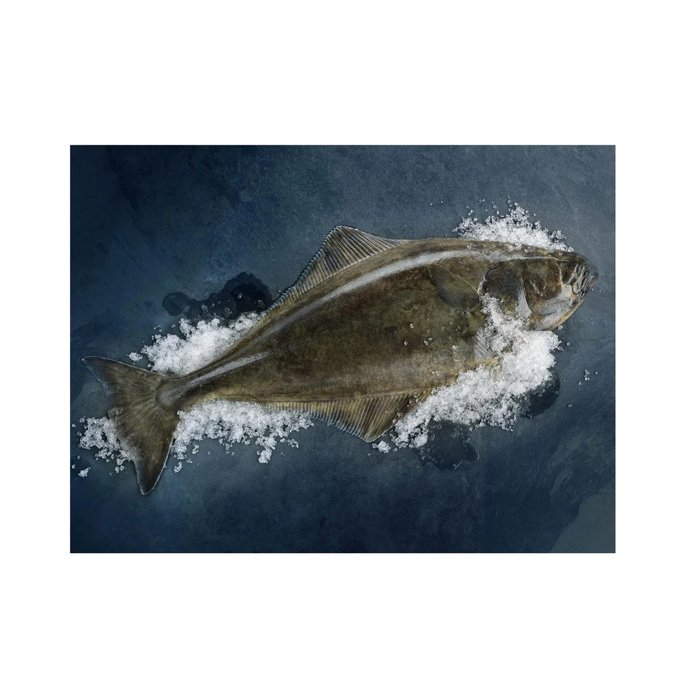 Best Quality Frozen Atlantic Halibut Fish Fresh Stock Bulk Wholesale