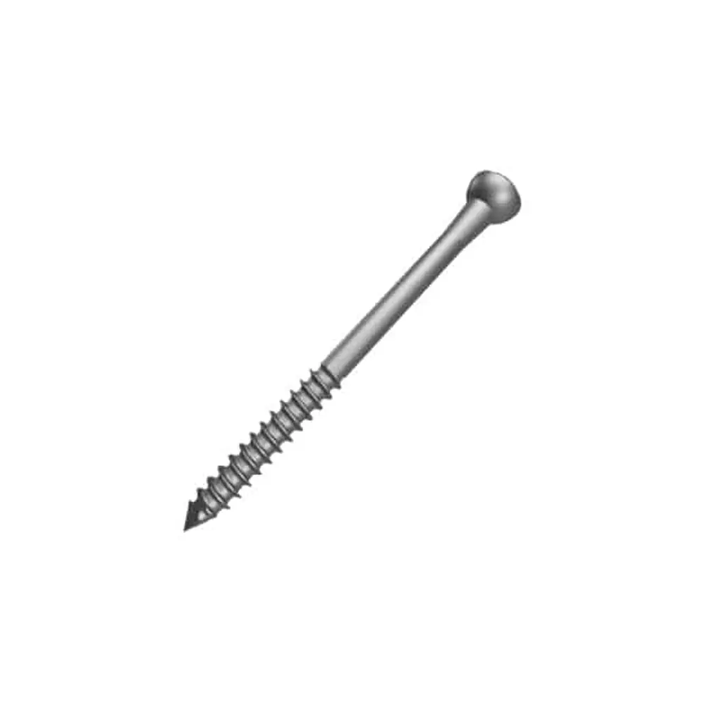 4,5 Mm Malleolar Screw Locking Plate Hex Head Screws Carbon Steel Box