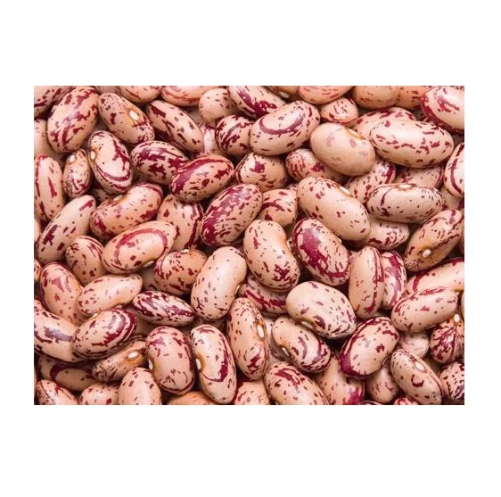 Organic Pinto Beans Sugar Beans / Kidney Beans / Red Kidney Beans Buy