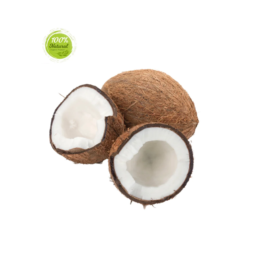Exploring the Nutritional Value of Dried Coconut