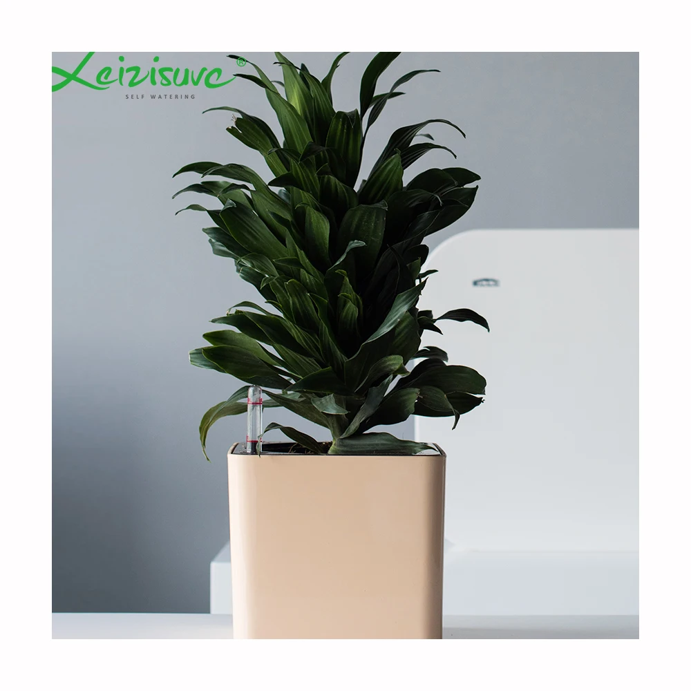 Leizisure Selbstbewssernde Tpfe Herstellung Indoor Mini Kleine  Pflegeleichte Kunststoff-Blumentpfe Wrfel Kruter Bonsai Pflanzentopf  Pflanzgef