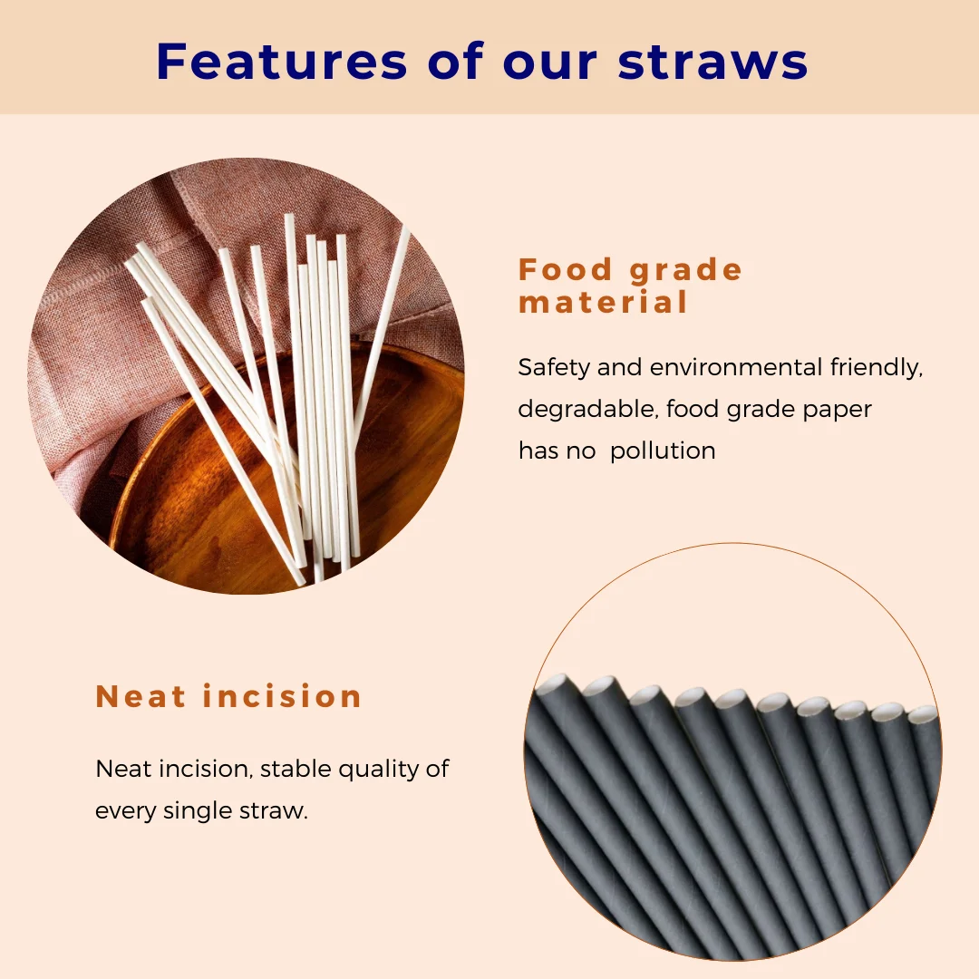 Wholesale Disposable Black White Paper Wrapped Straws Thick