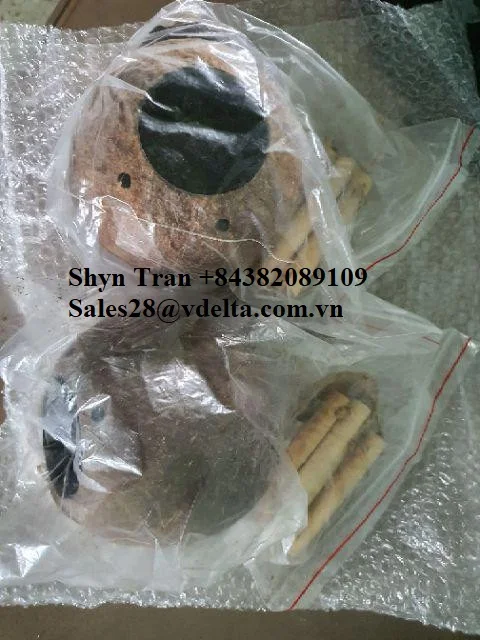 Image showcasing Natural Coconut Shell Hamster Nest - Sustainable & Durable