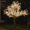 Albero di ciliegio bianco caldo (H:4 W:3M)