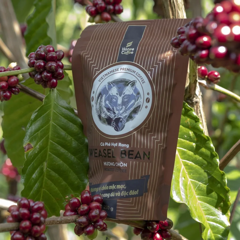 Legendary Weasel Coffee Beans from Vietnam - HONEE COFFEE