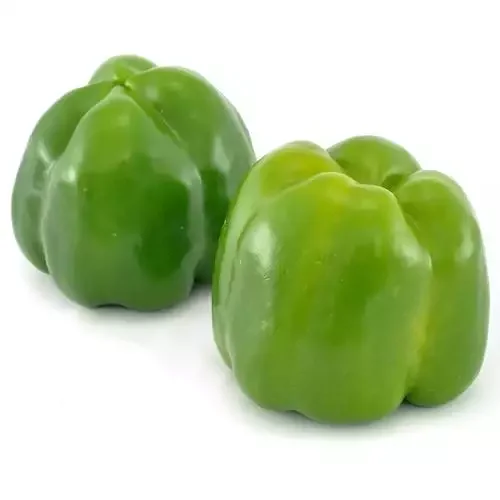 bell pepper 1.jpg