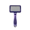 Small Purple