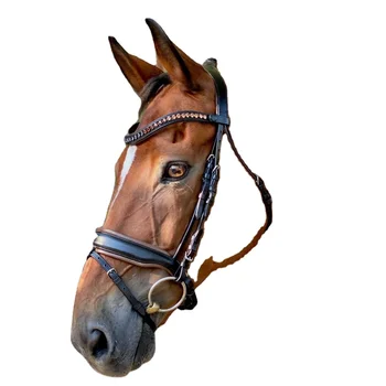 Suffolk Single Crown Classic Dressage Bridle - Black/Black, Horse-F/S Size, Web Reins Included
