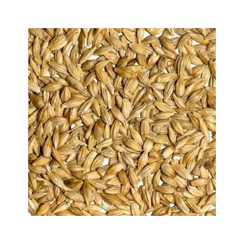 Сушеные украинские жемчужины и ячмень для производства