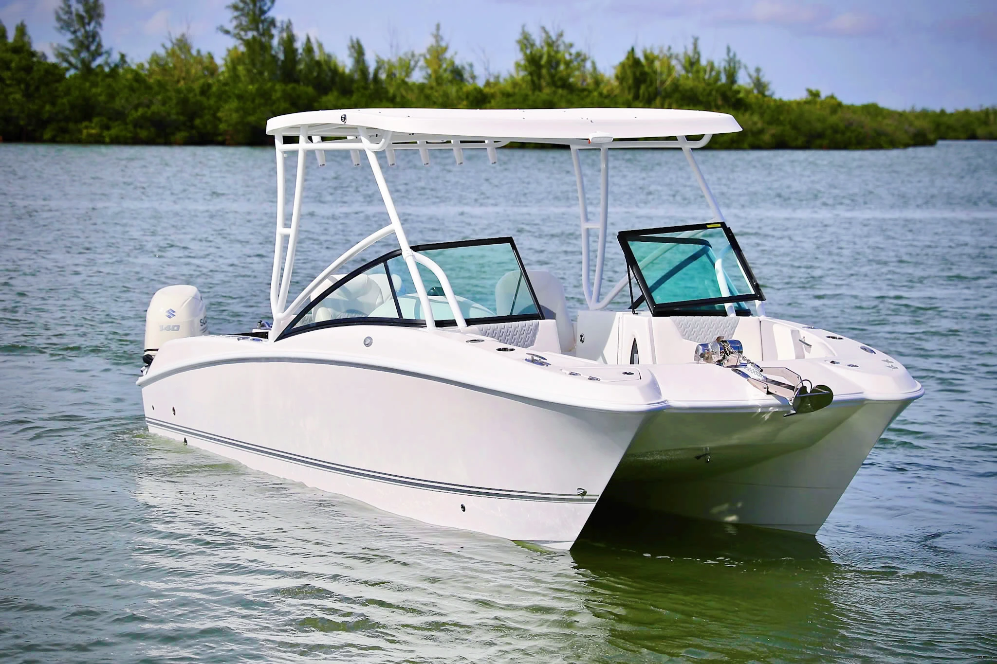 24 ft catamaran fishing boat