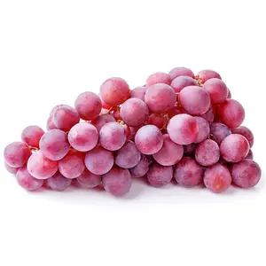 Fresh Grapes for Export - WHITE GRAPE for FRESH USE