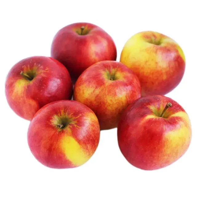 JONAapple5.jpg
