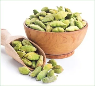 Wholesale Cardamom Green High Quality Green Cardamom Factory Price Dried Green Cardamon