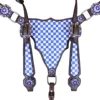 Blue- White Checker