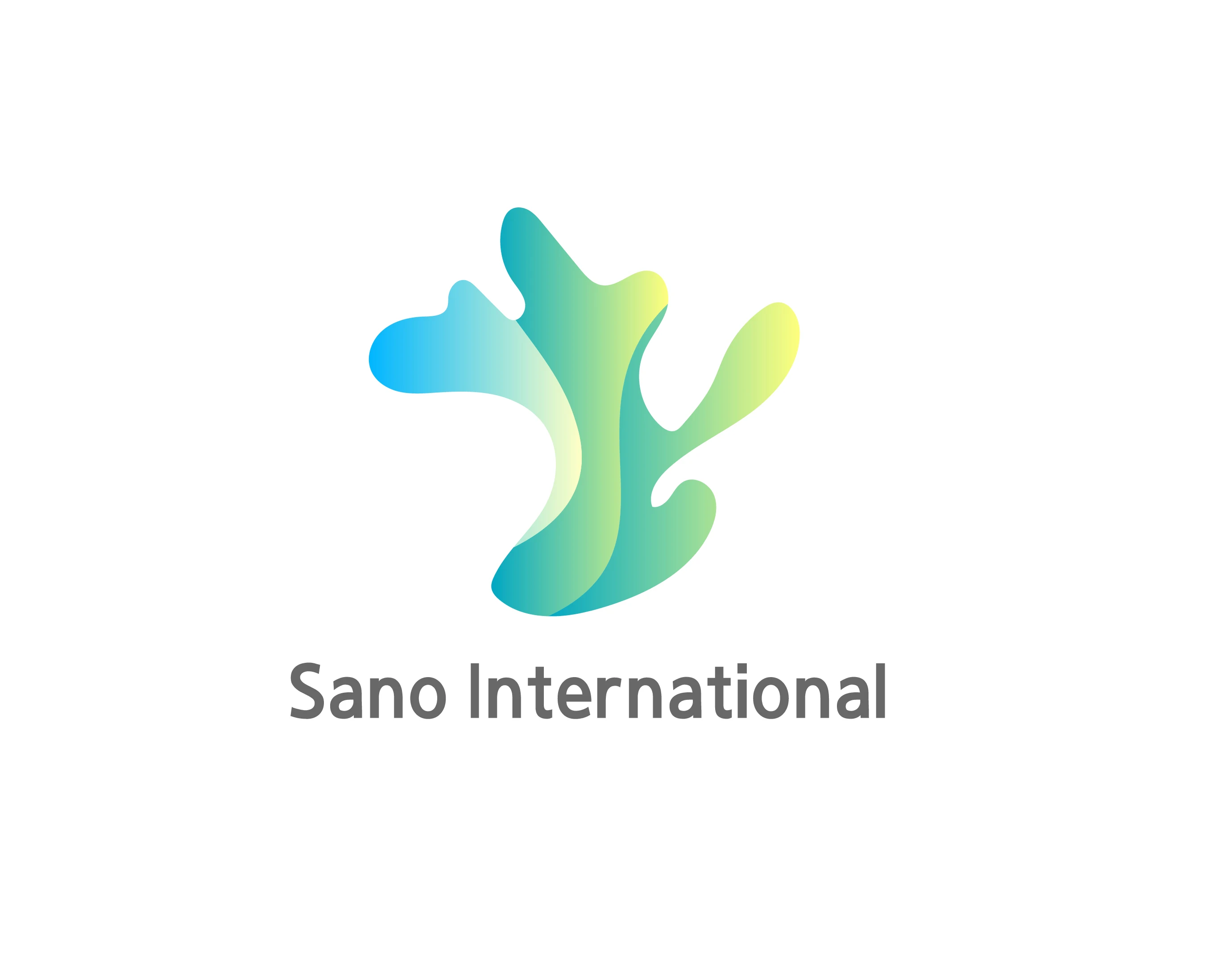 Sano International Co., Ltd.