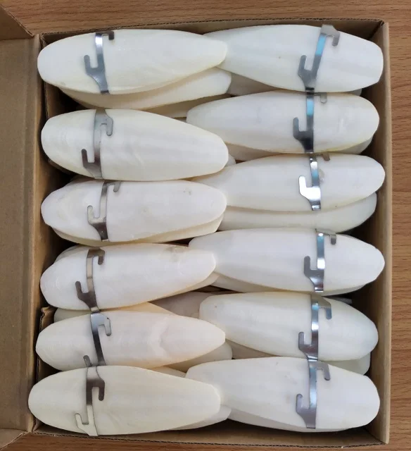 4-6 Inch Cuttlebone For Birds A&E Cage Cuttlebone For Birds - Natural ...