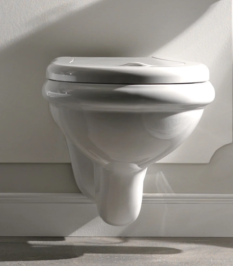 Wall Hung Rimless WC Installed View