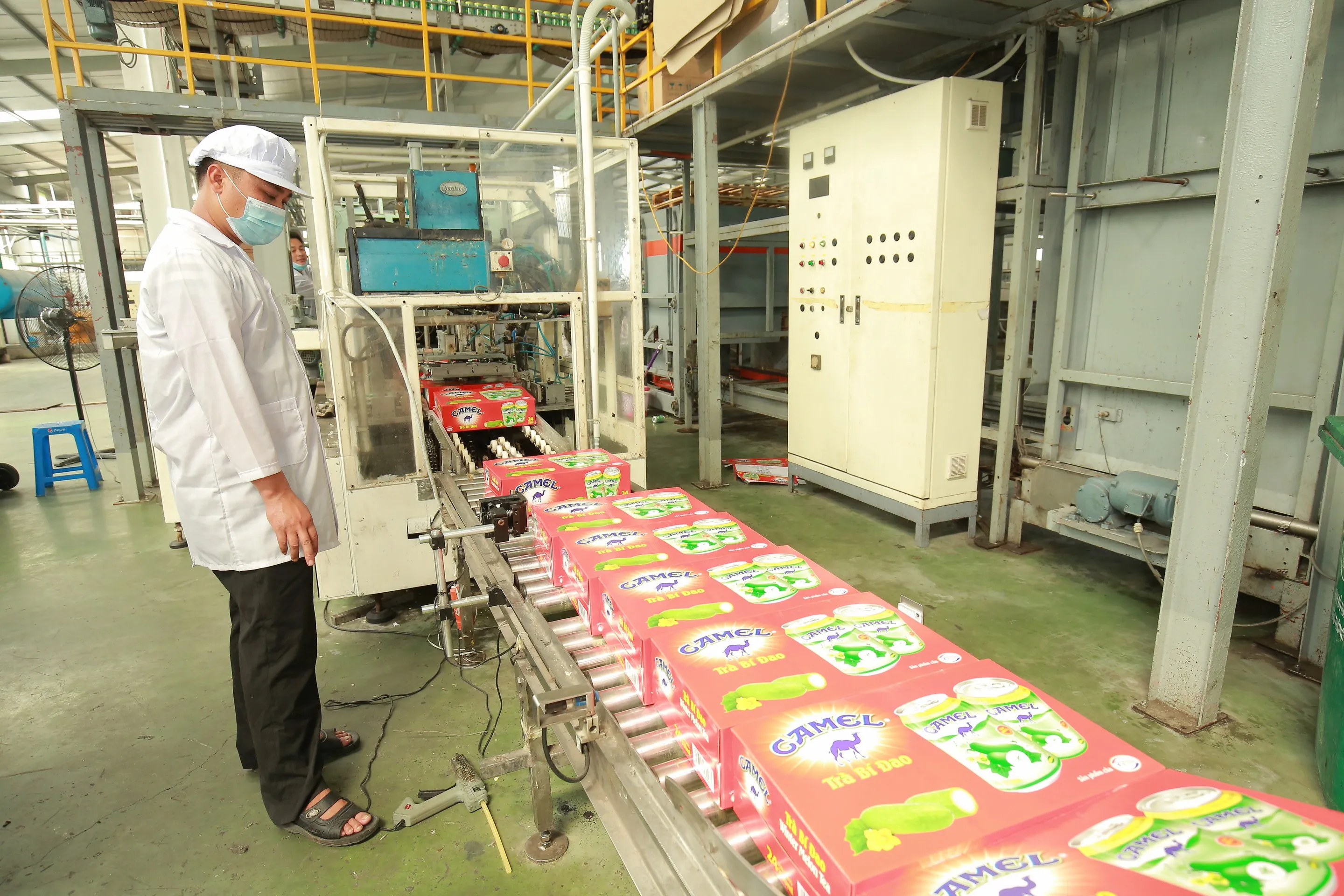 Abest Glass Noodle Viet Nam Vermicelli Factory Price Product For