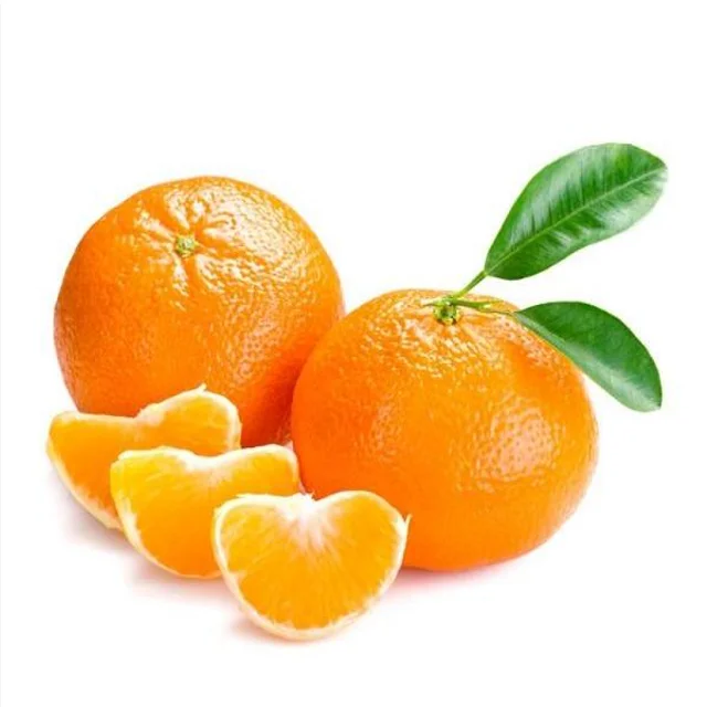Fresh High Quality Sweet Tangerine Cheap Small Tangerine Citrus Orange Fruit with Leaves Mandarin Orange