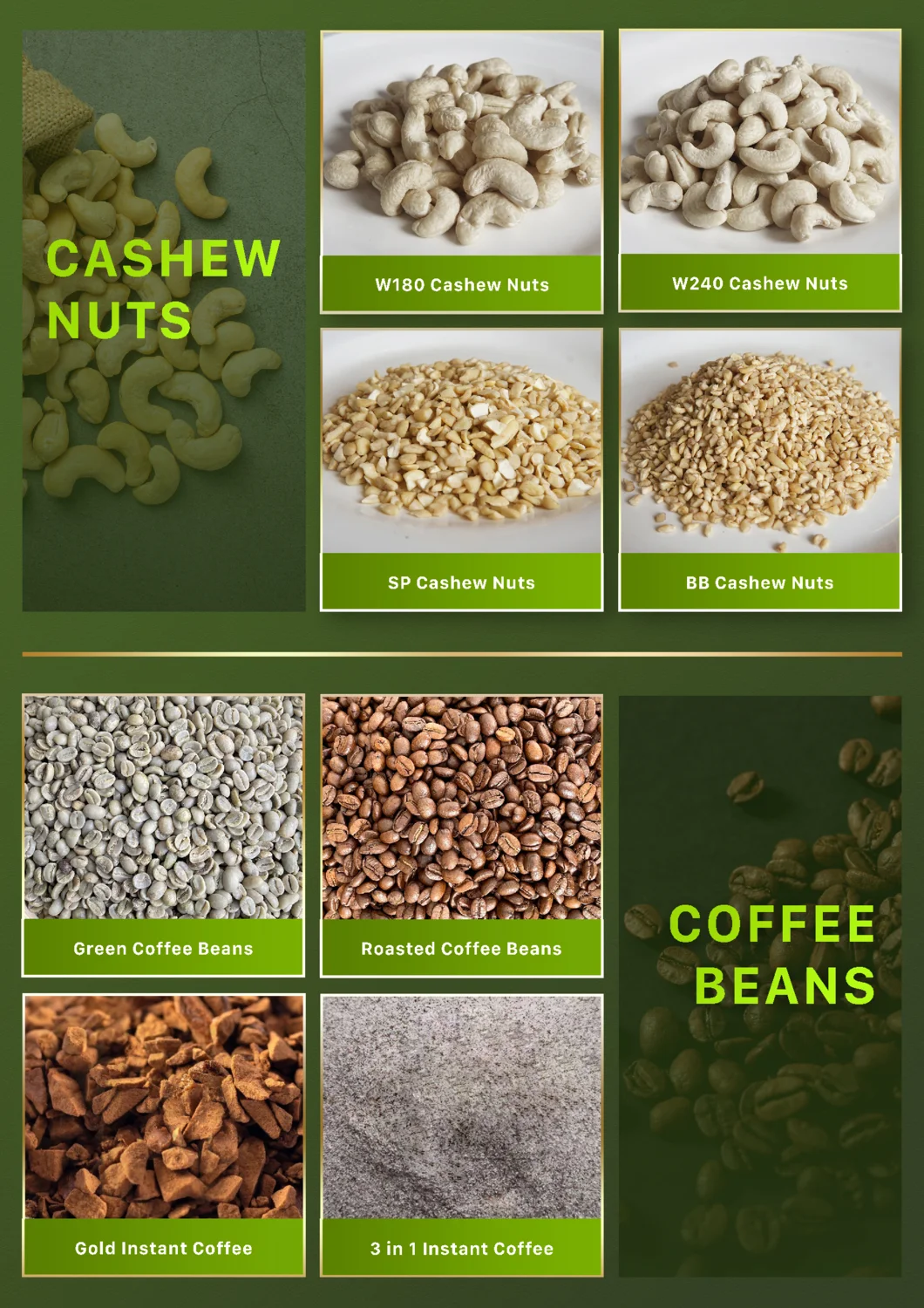 top-product-robusta-green-coffee-beans-wholesale-natural-bulk-green