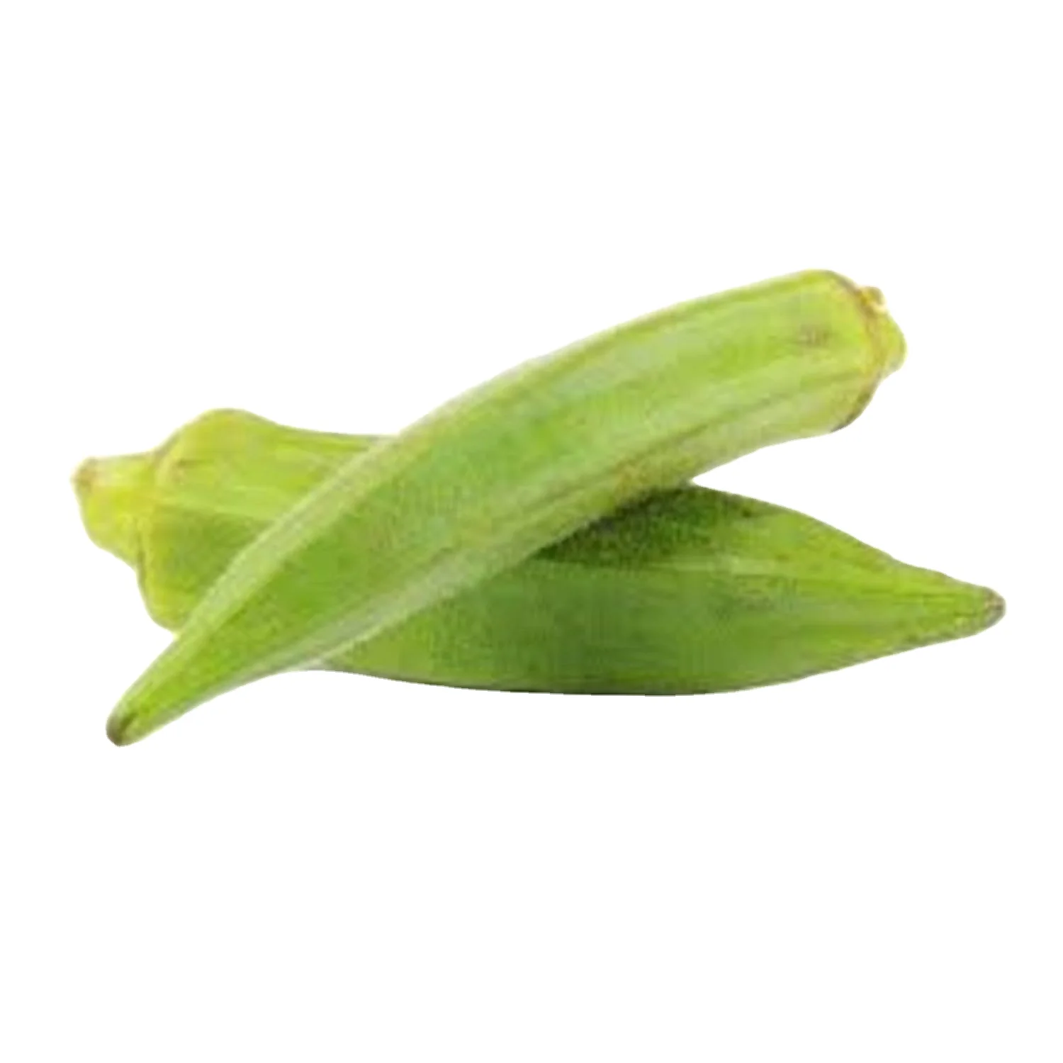Открытый опылитель Okra Pusa Sawani / Okro (Op) Verity для