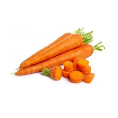 Best Price Carrots for Wholesale Export Natural Fresh Carrots