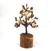 Tiger Eye