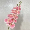 สีชมพู