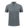 Gris Hierro