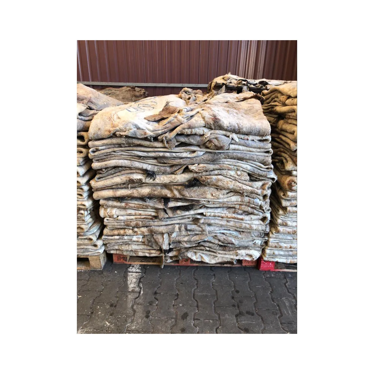 High Quality Raw Wet Salted Cow Hides Natural Cow Skin Leather Low