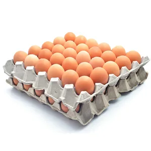 High Quality Fresh Table Eggs Brown and White for Sale Big Small White and Brown Chicken Fresh Table Eggs