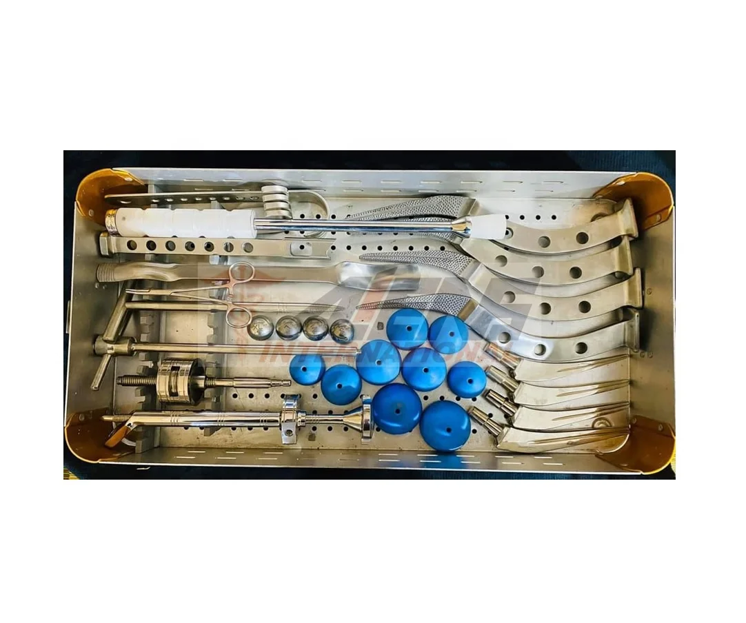 Hip Modular Bipolar and Total Hip Replacement System for Hip Joint Prosthesis Austin Moore Set