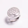 Plata
